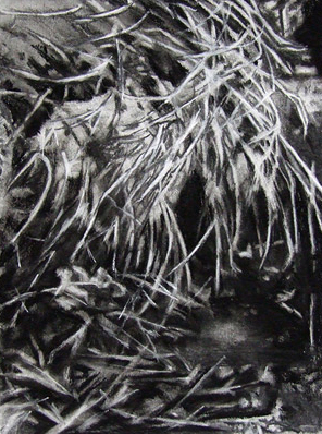Aqueous 50x70cm Charcoal on Hahnemuehle paper Art by the Sea Gallery
