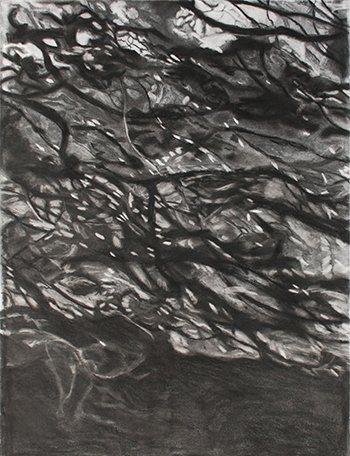 Beneath framed Charcoal on Hahnemuehle paper Art by the Sea Gallery